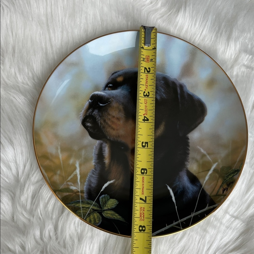 Danbury Mint Rottweiler Plate Decorative Limited Edition - Picture 6 of 8